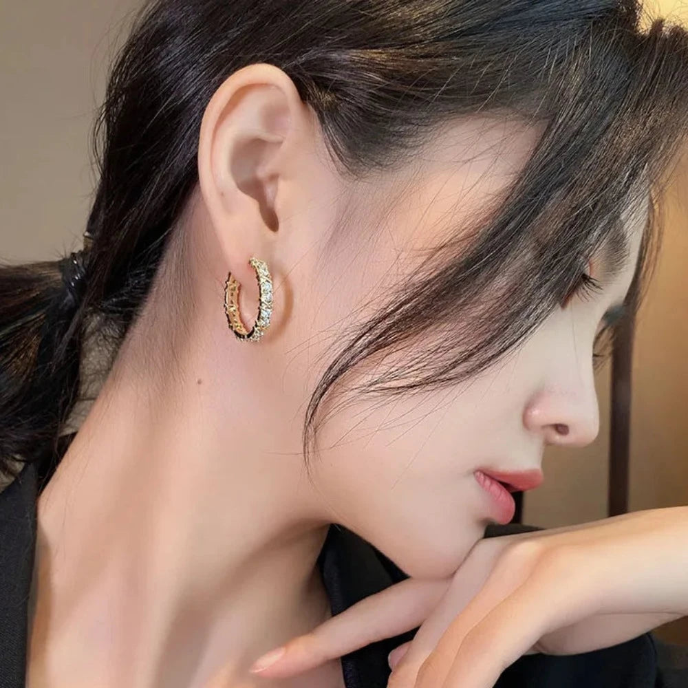 Fashion Hoop Earrings