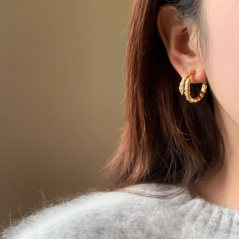 Snake Shaped Drop Earrings