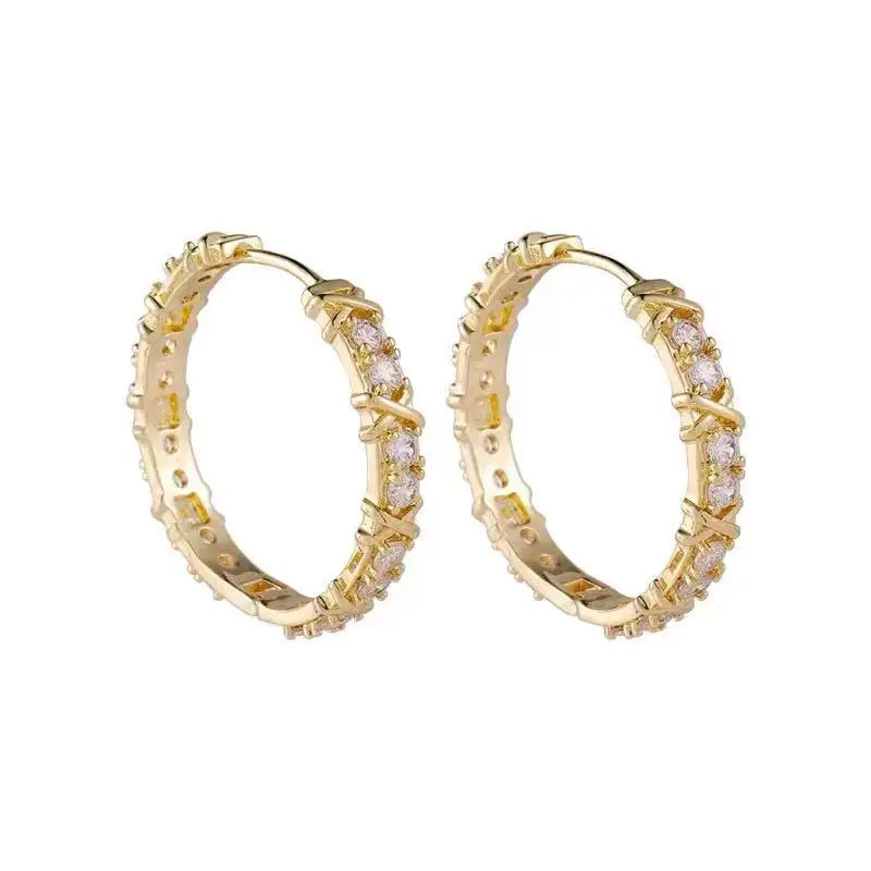 Fashion Hoop Earrings