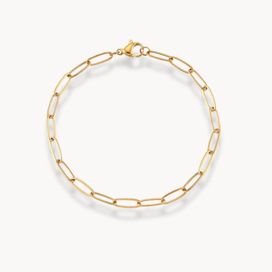 Clip Chain Bracelet - Zafinne Jewelry